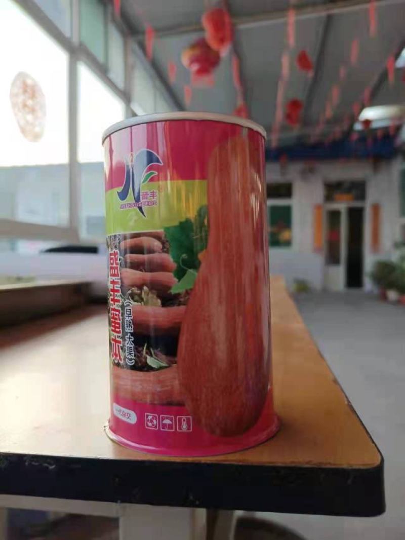 盛丰蜜本南瓜种子基地杂交用籽甘面口感好高产春甜面南瓜