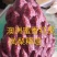 新品种澳洲香蜜红皮释迦苗最大果重1-2斤一个南北可种植
