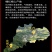 20年陈橘红乳果片花点桔红片正宗化州橘红胎果陈年化橘红片