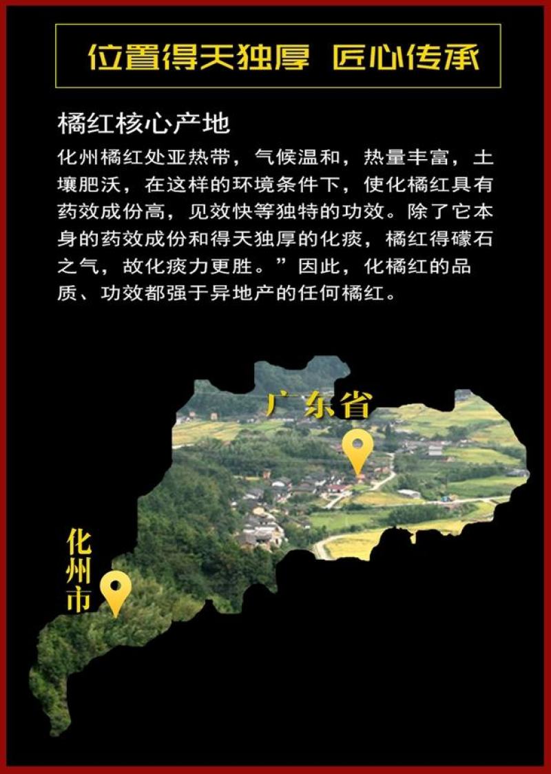 20年陈橘红乳果片花点桔红片正宗化州橘红胎果陈年化橘红片