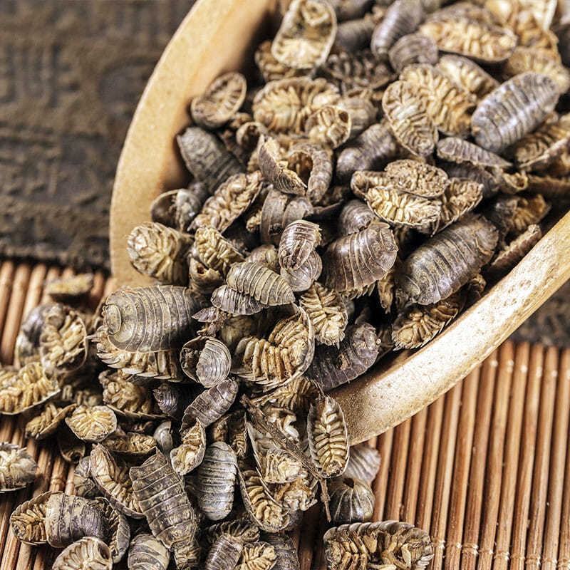 正宗鼠妇虫中药材批发正品潮虫地虱鼠负鼠姑湿生虫团