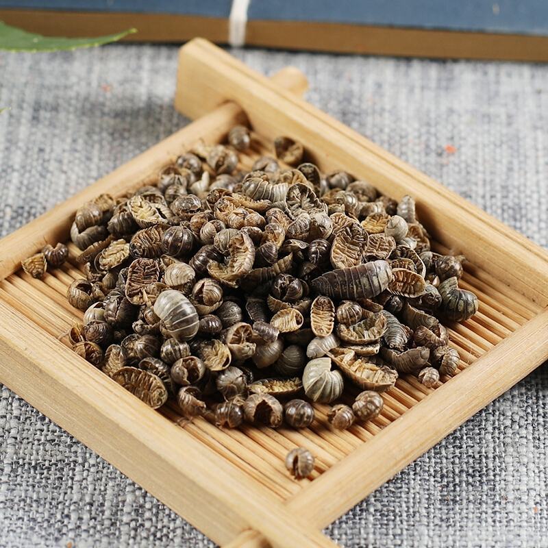 正宗鼠妇虫中药材批发正品潮虫地虱鼠负鼠姑湿生虫团