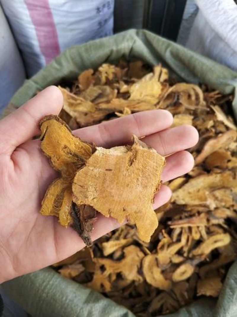 虎杖，中药材虎杖野生无硫质量保证，欢迎咨询选购！