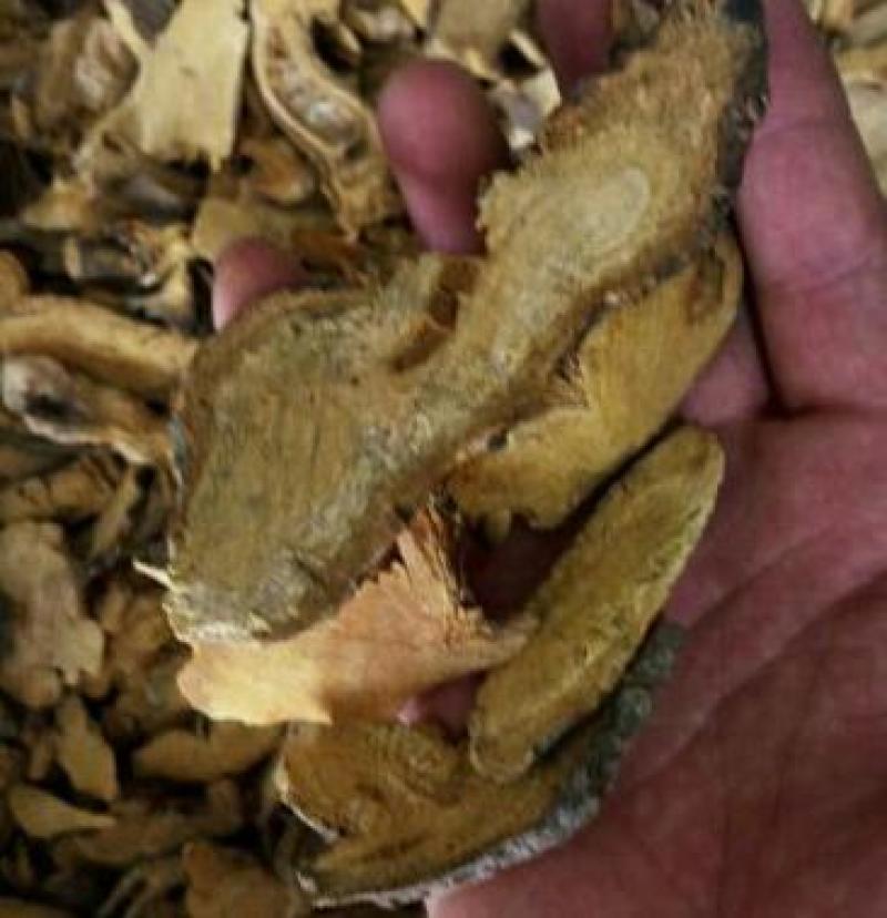 虎杖，中药材虎杖野生无硫质量保证，欢迎咨询选购！