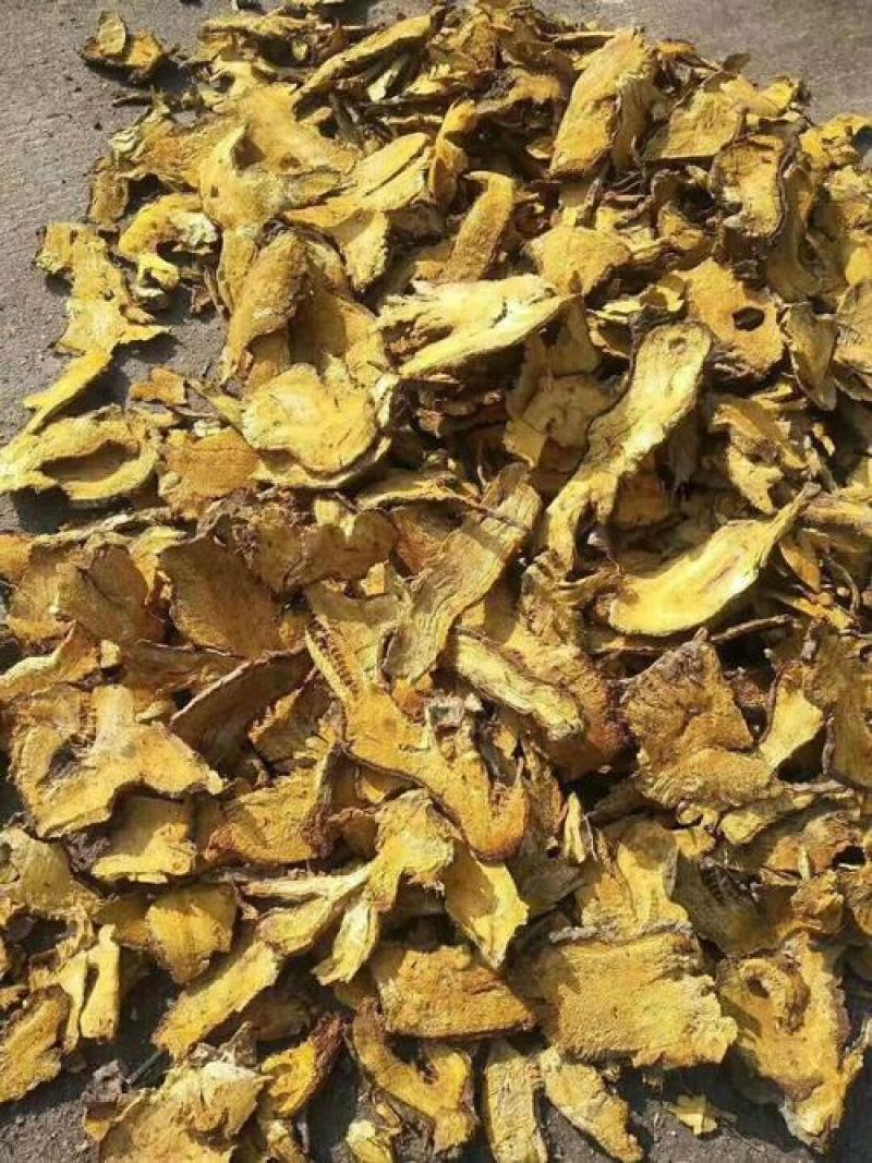虎杖，中药材虎杖野生无硫质量保证，欢迎咨询选购！