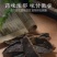 （玄参）精选玄参中药材浙玄参玄参切片多种规格多省包邮