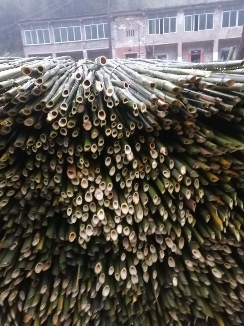 竹子产地直供支持批发和零售货源充足量大从优欢迎咨询