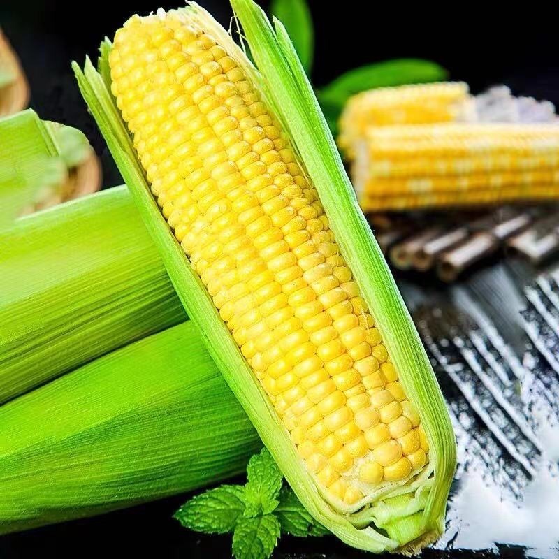 现摘黄金水果玉米新鲜甜玉米即食嫩玉米生吃爆浆脆甜苞米棒子
