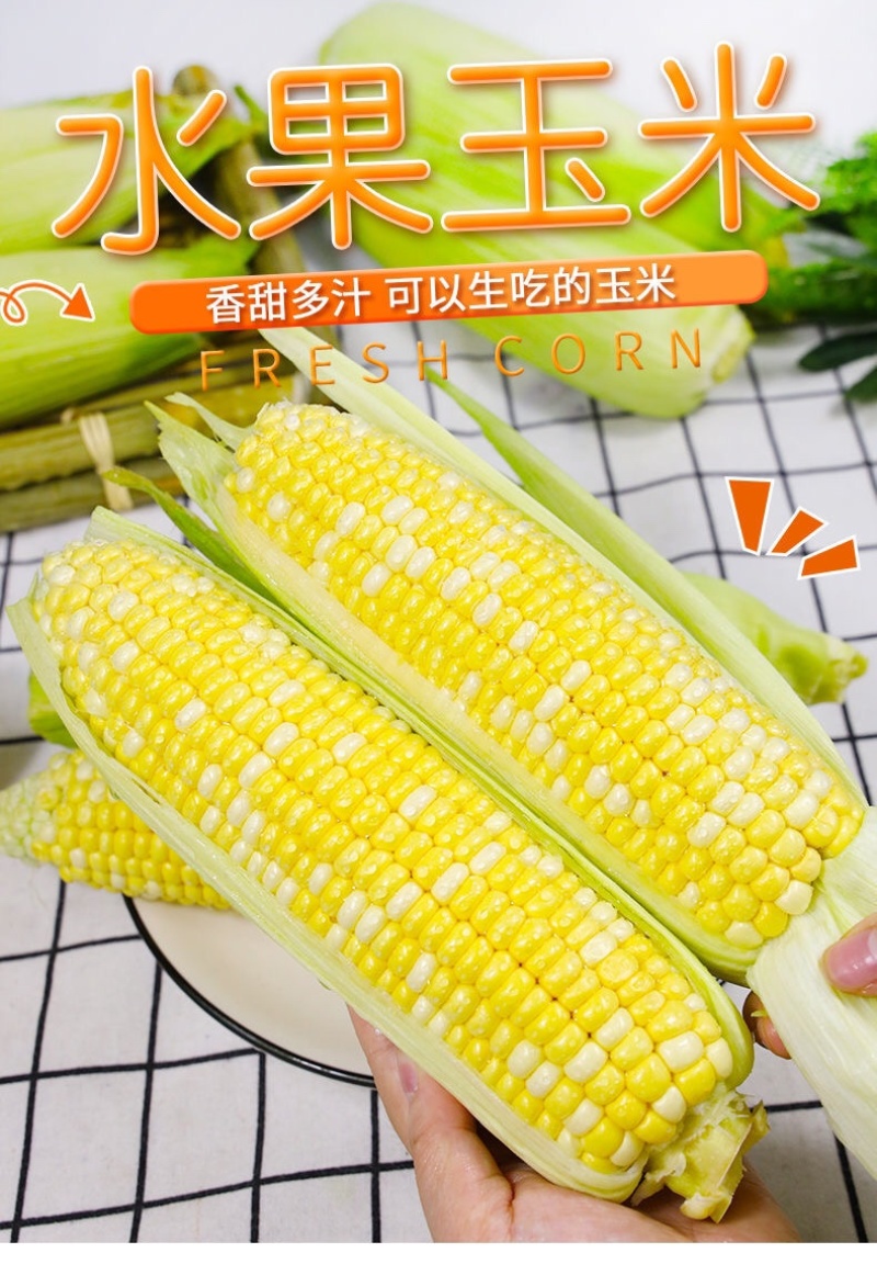 现摘黄金水果玉米新鲜甜玉米即食嫩玉米生吃爆浆脆甜苞米棒子
