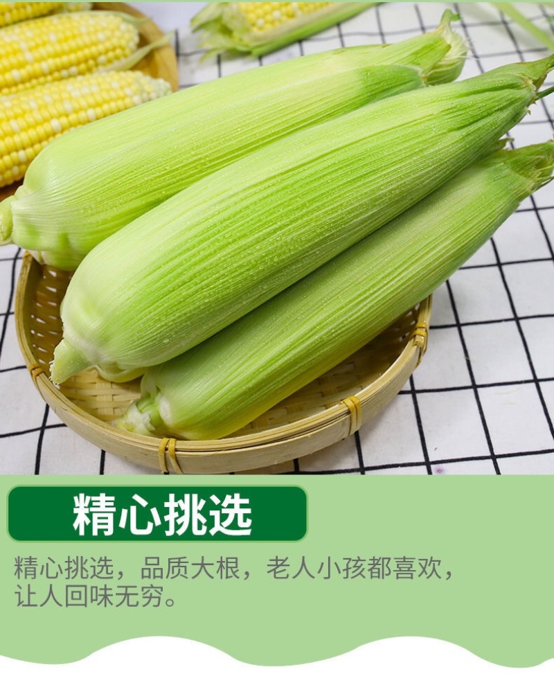 现摘黄金水果玉米新鲜甜玉米即食嫩玉米生吃爆浆脆甜苞米棒子