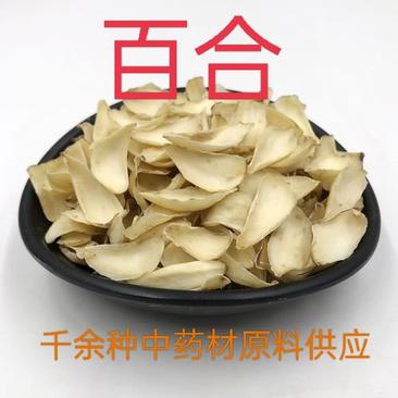 百合，药用百合，食用百合无硫批发供应质量保证欢迎咨询选购