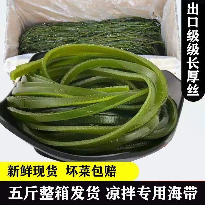 【产地】5斤装盐渍海带丝新鲜嫩海带丝火锅食材免煮即食包邮