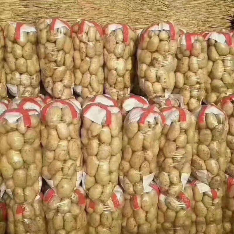 精品土豆，V7，希森，荷兰十五，质量保证商超专供，量大。