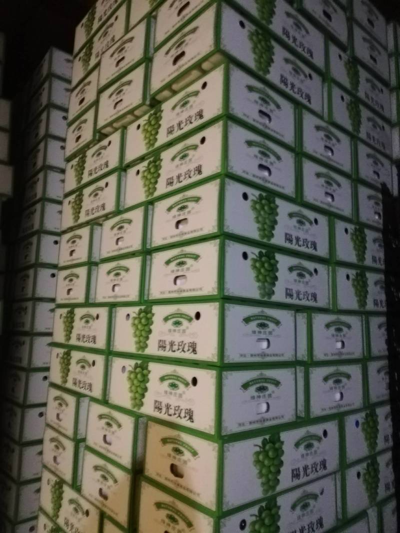 大量库存阳光玫瑰葡萄，颗粒大，有需要的客商，前来品尝
