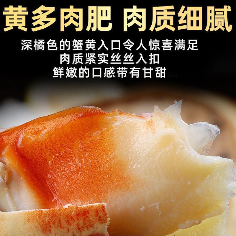 【产地直】面包蟹鲜活熟冻包邮超大海鲜螃蟹海蟹黄金蟹