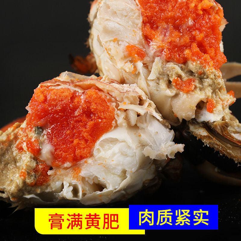 【产地直】面包蟹鲜活熟冻包邮超大海鲜螃蟹海蟹黄金蟹