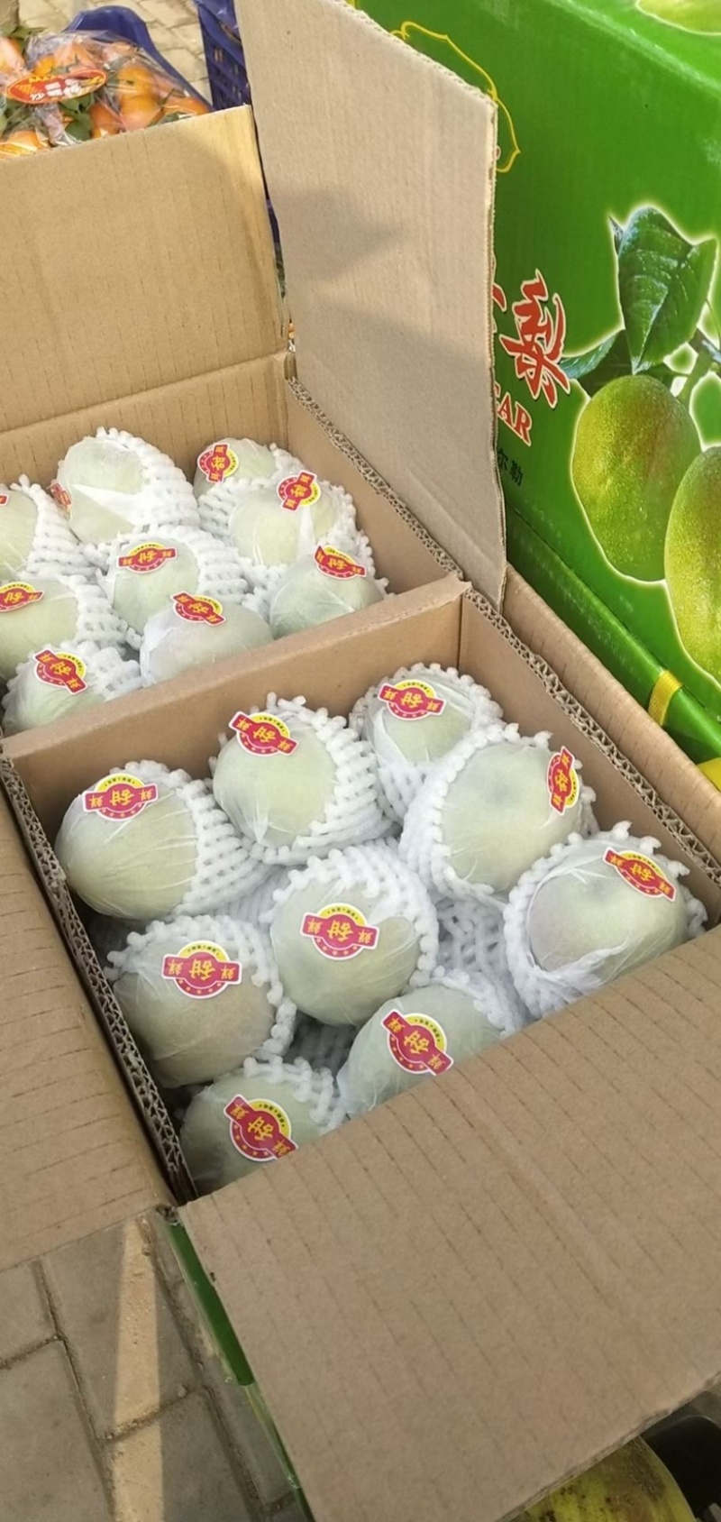 新疆库尔勒香梨🍐一箱10斤全母梨口感酥脆香甜！