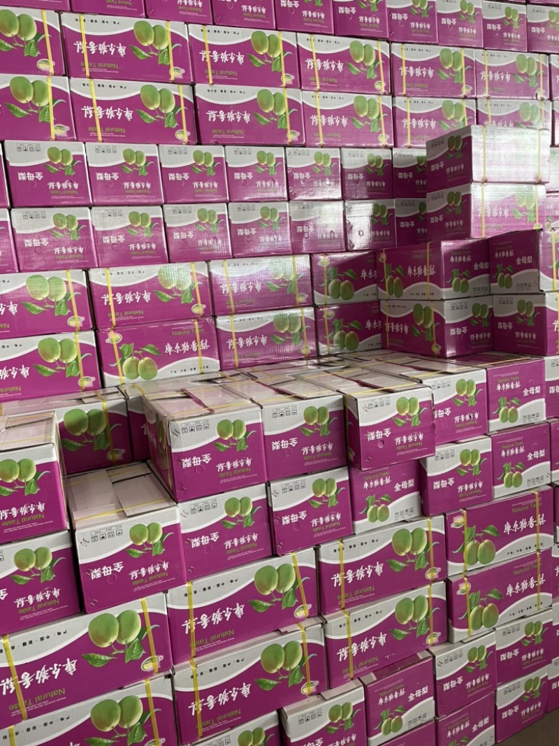 新疆库尔勒香梨🍐一箱10斤全母梨口感酥脆香甜！