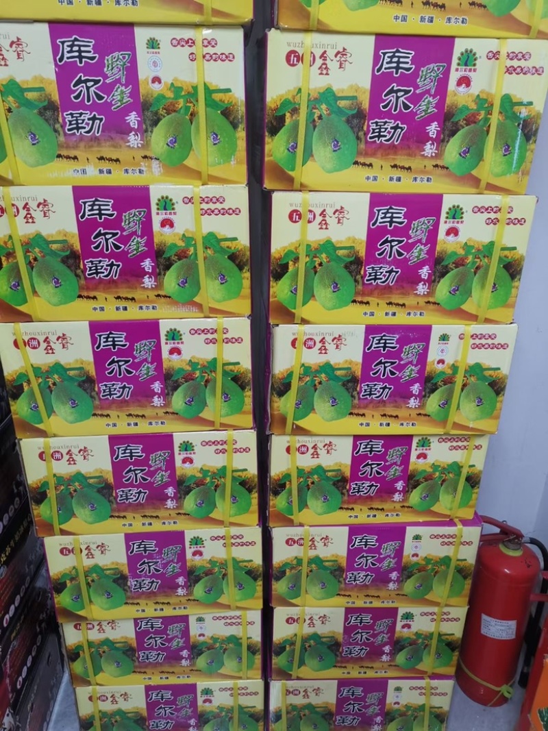 新疆库尔勒香梨🍐一箱10斤全母梨口感酥脆香甜！