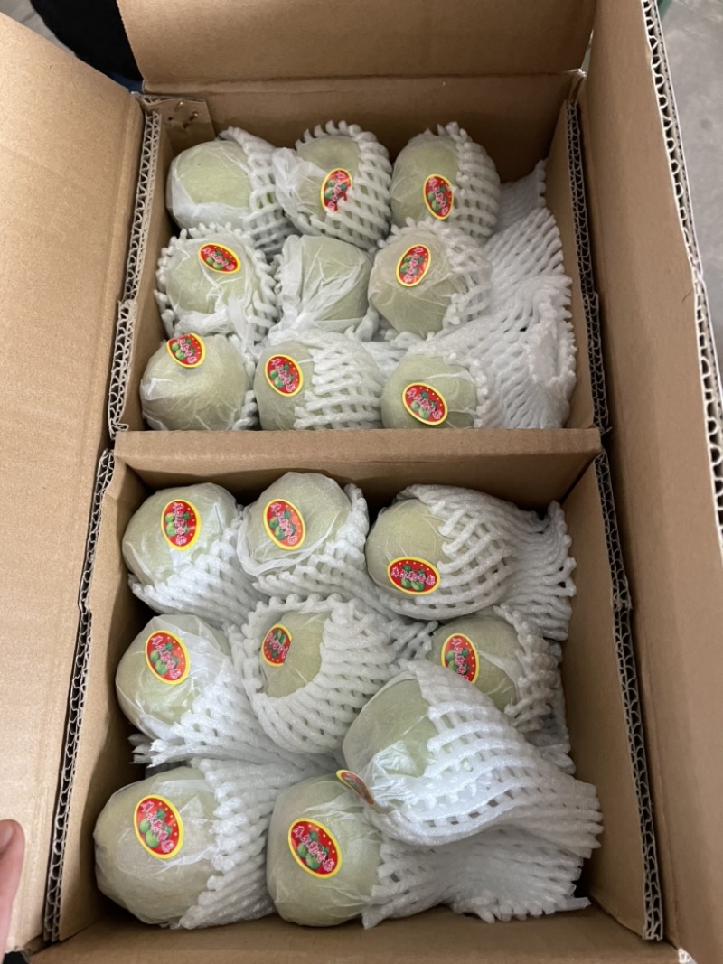 新疆库尔勒香梨🍐一箱10斤全母梨口感酥脆香甜！