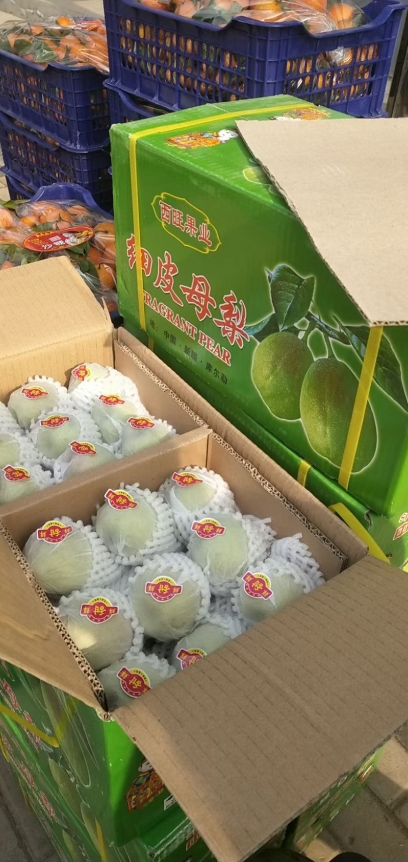 新疆库尔勒香梨🍐一箱10斤全母梨口感酥脆香甜！