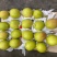 新疆库尔勒香梨🍐一箱10斤全母梨口感酥脆香甜！