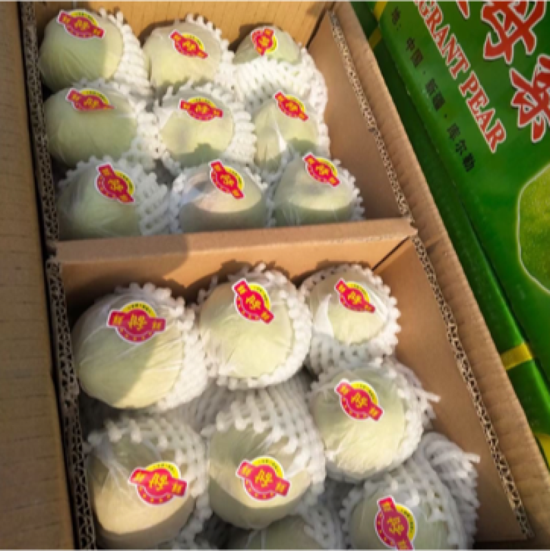 新疆库尔勒香梨🍐一箱10斤全母梨口感酥脆香甜！