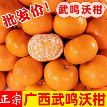 正宗广西武鸣沃柑产地直销【承接电商微商社区团购一件代发】