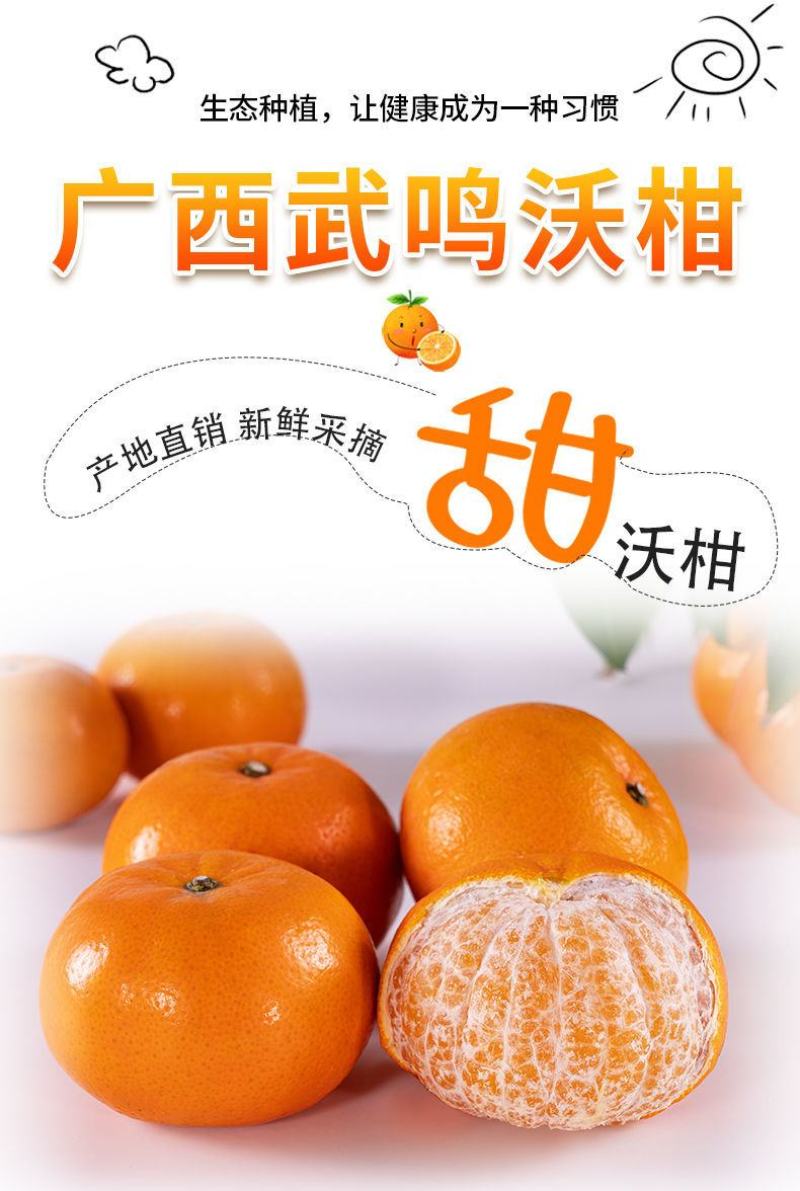 正宗广西武鸣沃柑产地直销【承接电商微商社区团购一件代发】
