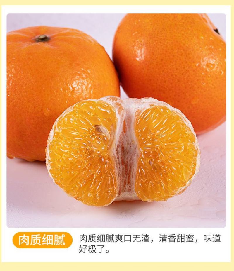 正宗广西武鸣沃柑产地直销【承接电商微商社区团购一件代发】