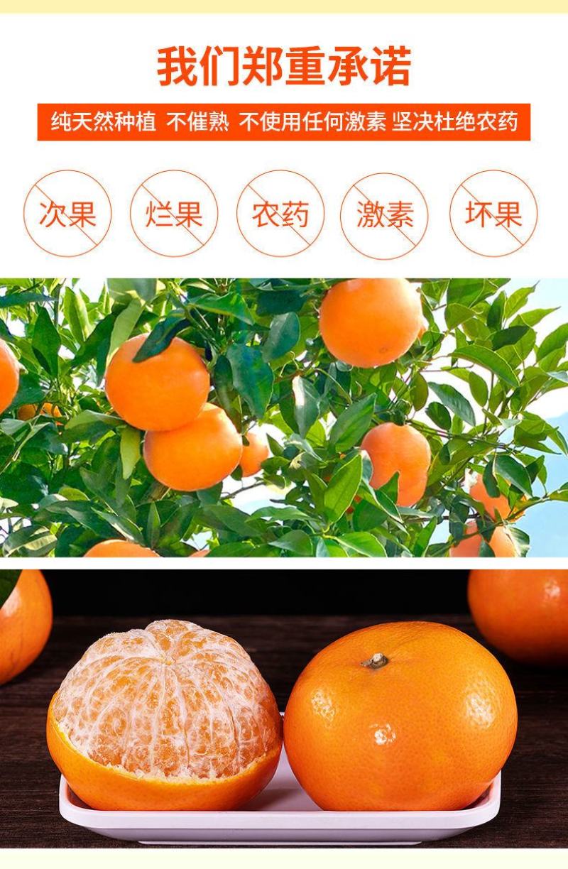 正宗广西武鸣沃柑产地直销【承接电商微商社区团购一件代发】