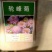 轮锋菊种子观花种籽国产散装四季多年生庭院观叶种孑