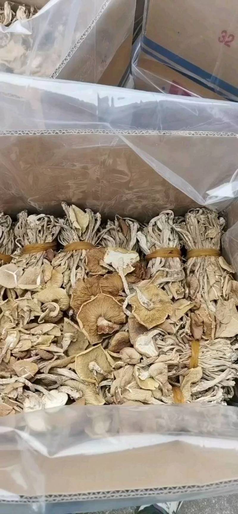 茶树菇开伞扎把，剪脚分拣年货一件代发包邮