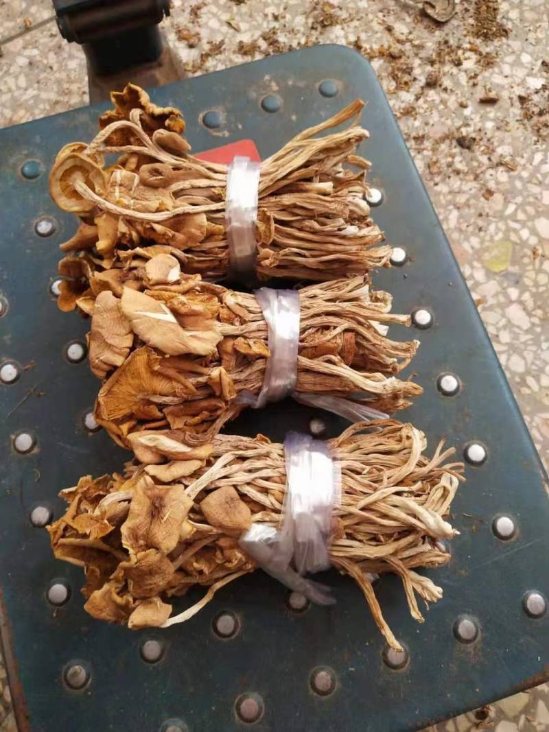 茶树菇开伞扎把，剪脚分拣年货一件代发包邮