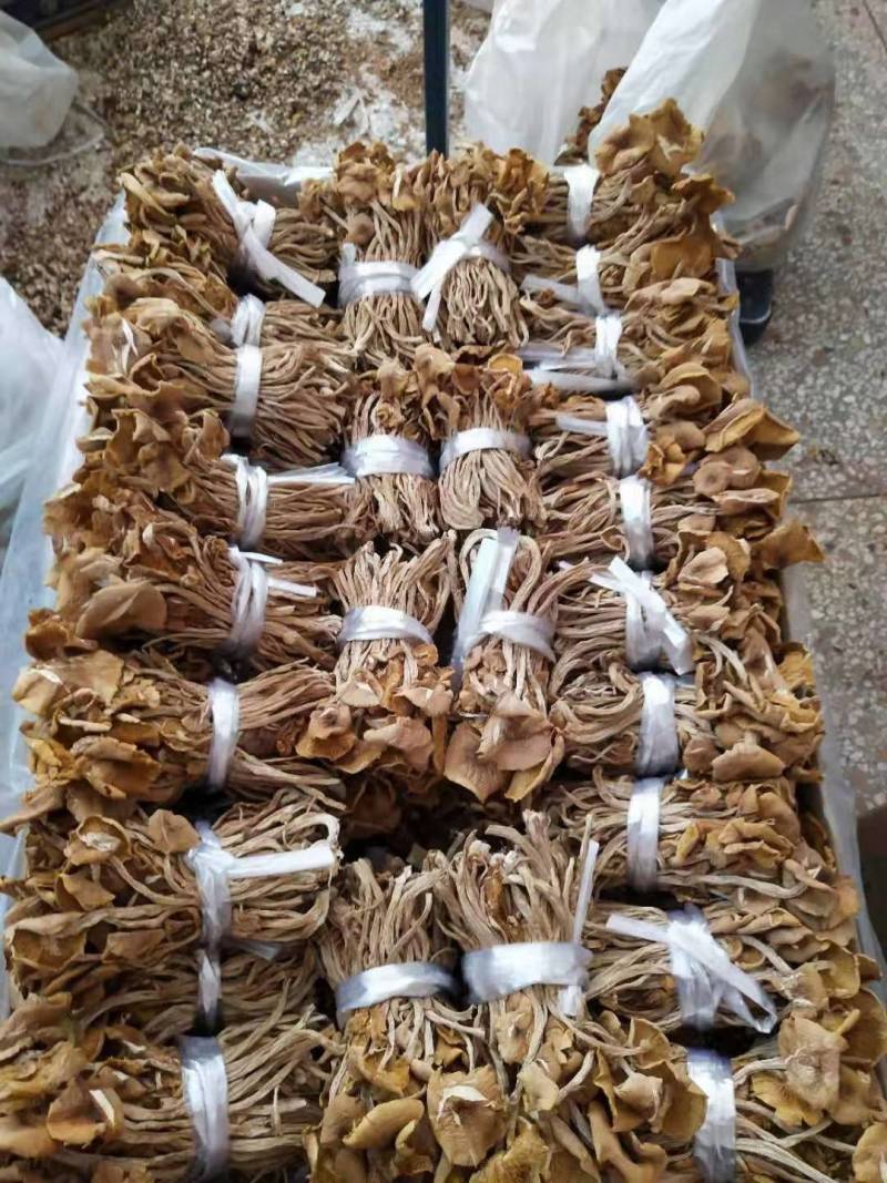 茶树菇开伞扎把，剪脚分拣年货一件代发包邮