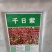 千日红种子，千日紫百日红火球庭院四季花卉种子盆栽室外易活