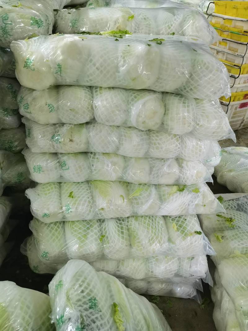 精品云南黄心大白菜，品质保证，全国各地发货