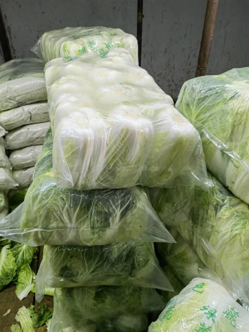 精品云南黄心大白菜，品质保证，全国各地发货