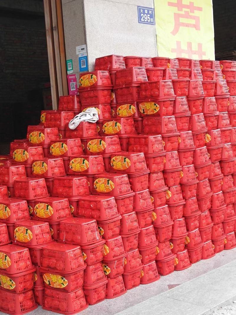 永春芦柑（永春县下洋明海生态农场）
