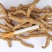 巴戟天肇庆湿巴戟天新鲜巴戟中药生巴戟天三级货源稳长期供货
