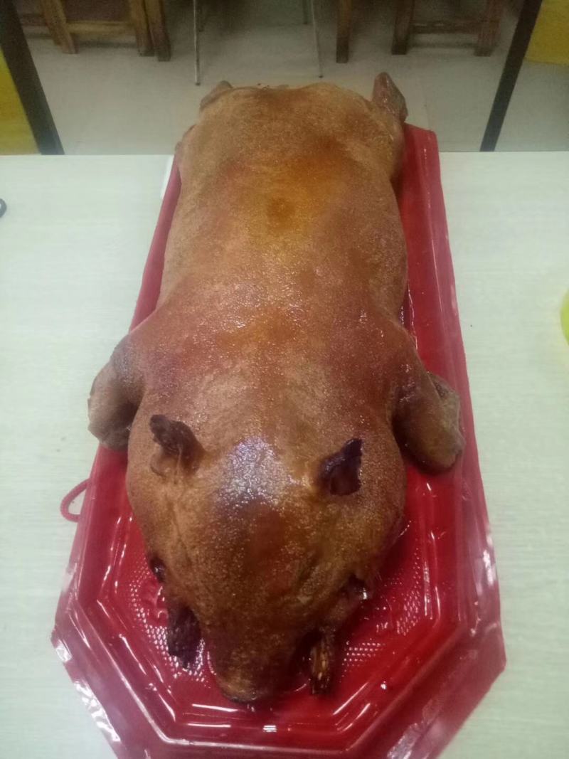 广西特产环江香猪