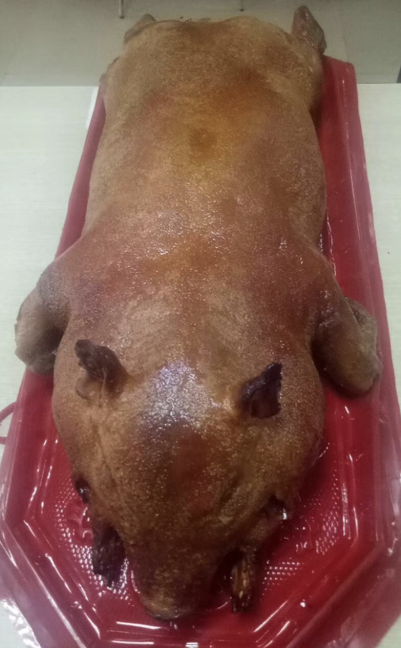 广西特产环江香猪