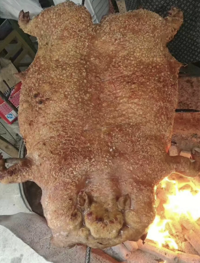 广西特产环江香猪