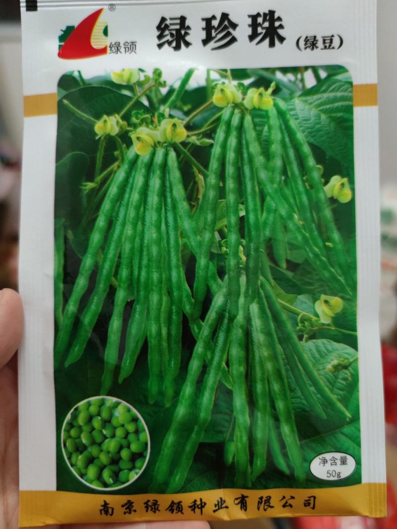 绿珍珠绿豆种子，50克
