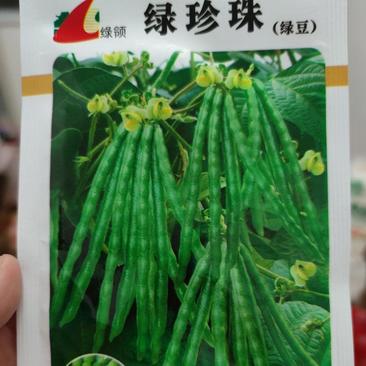 绿珍珠绿豆种子，50克