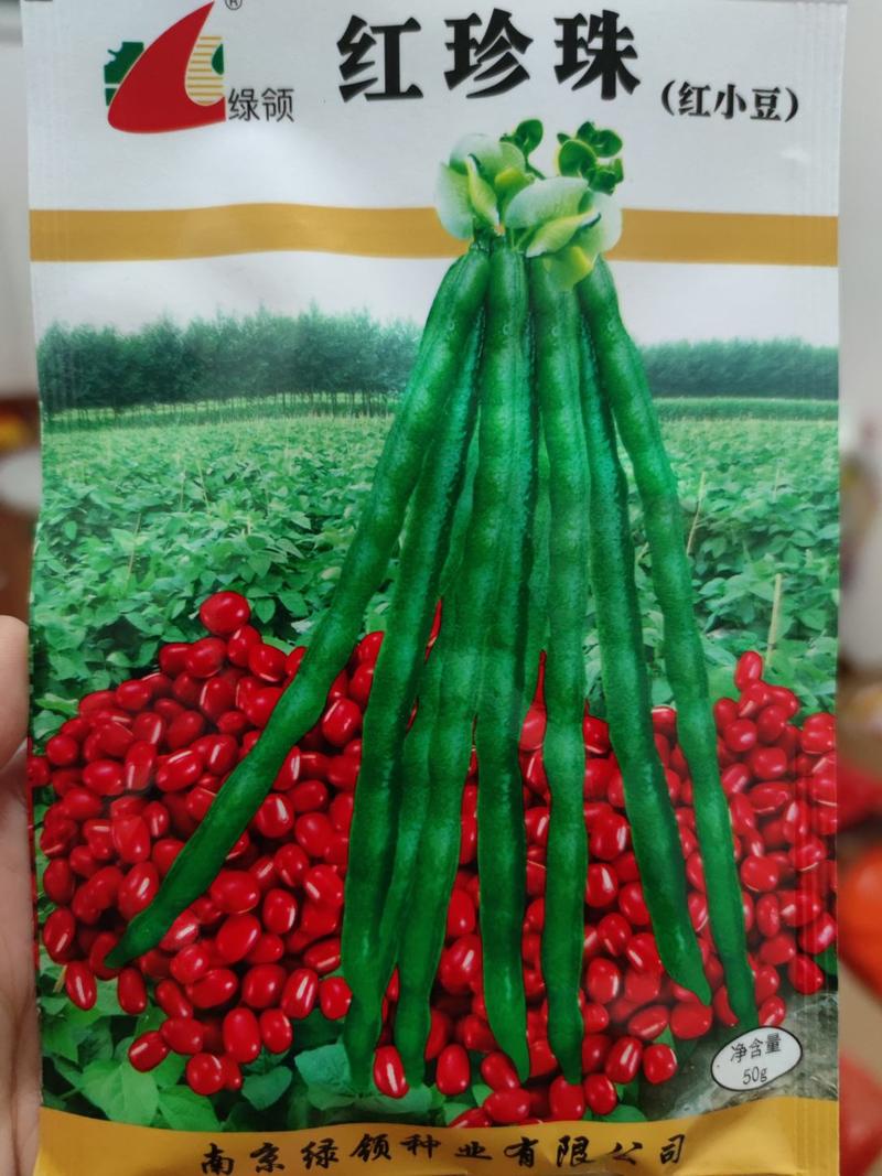 绿珍珠绿豆种子，50克