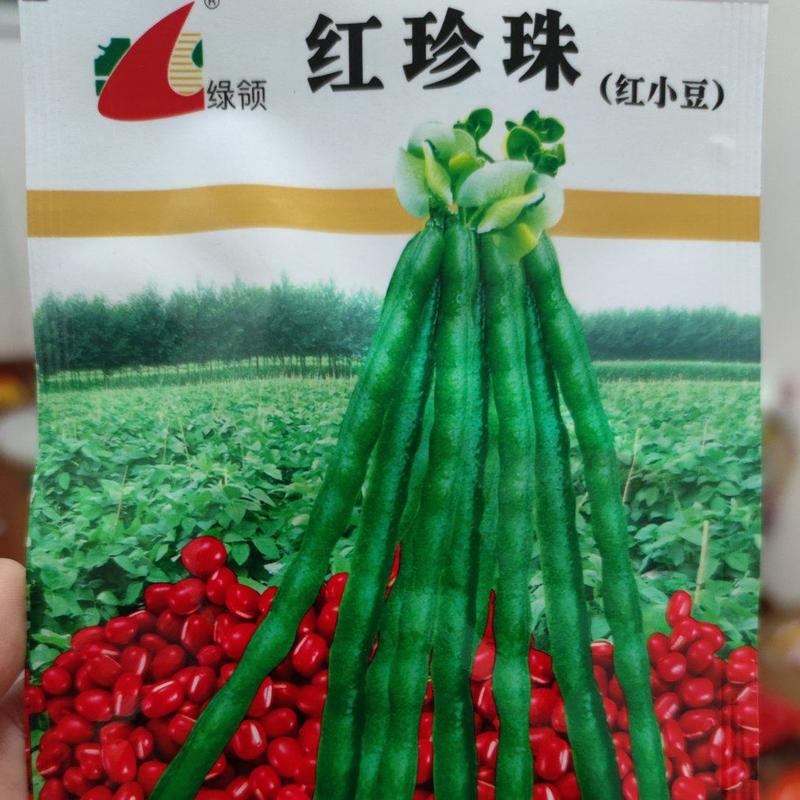 绿领红珍珠红小豆种子，50克