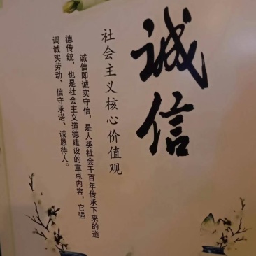 安徽省长丰县红颜草莓