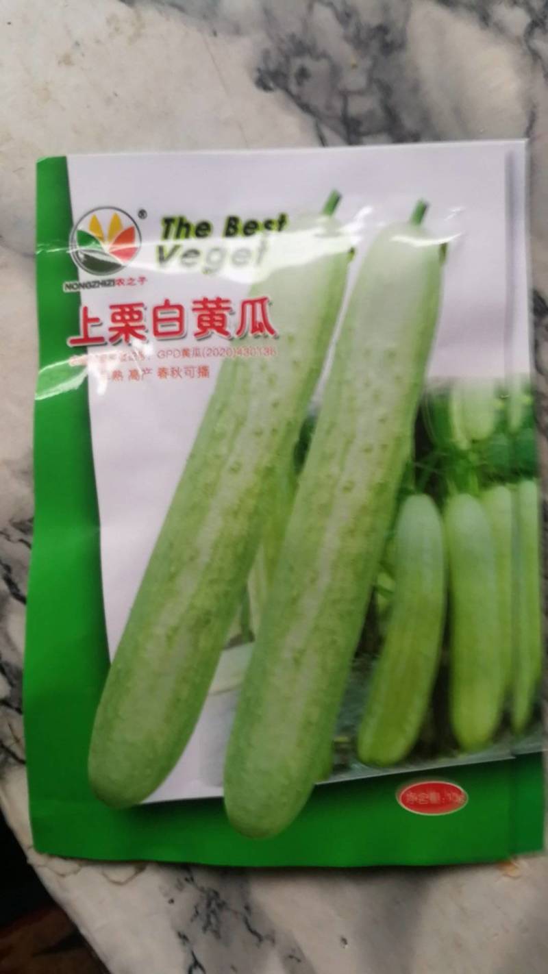 上栗白黄瓜早熟高产春秋可播。