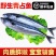 新鲜整条鲐鲅鱼青条鱼鲐鲅鱼青花鱼新鲜青占鱼海鲜水产包邮